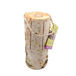 Bûche d'Ambiance