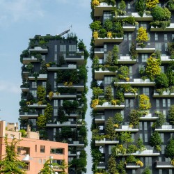 Urban Nature