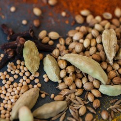 Cardamome