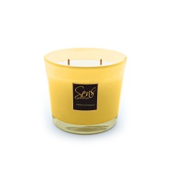 Collection Zen Jaune Miel M