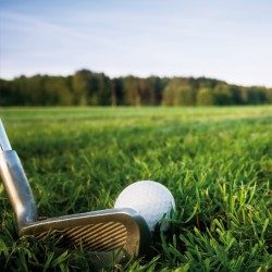 Sur Le Green
