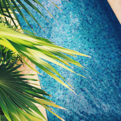 Summer Vibes